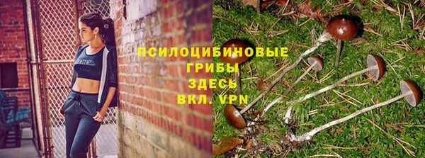 меф Алексин